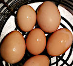 Eggs in Basket