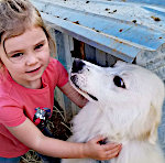 Girl Hugs Akbash Dog