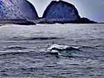 Ocean Cliff